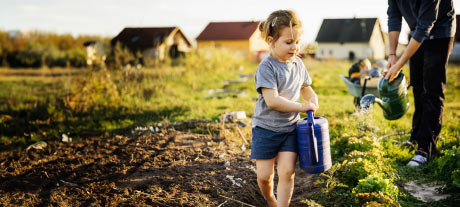 Little girl carrying a watering can at an allotment.