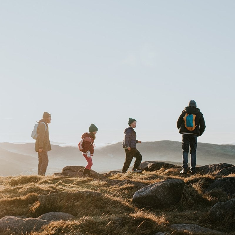 A family hiking. There are two adult men and two young children