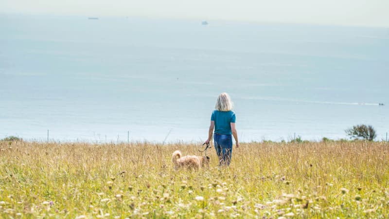 Woman walking in summer meadow with dog