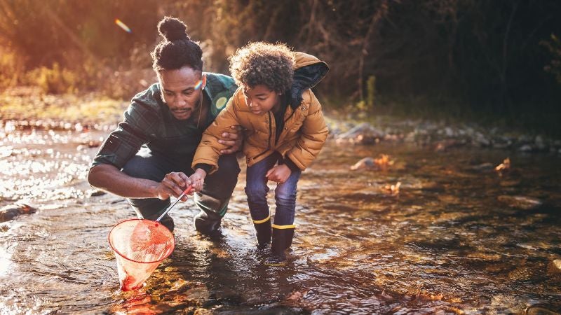 Are Cash ISAs worth it - 800 x 450 Father and child playing in a stream