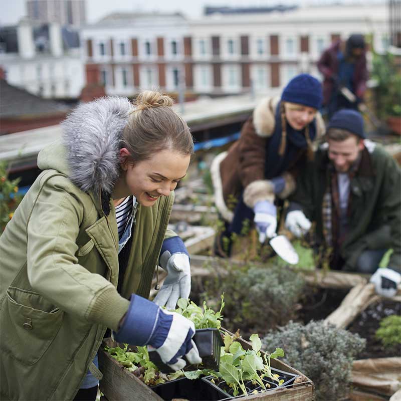 Three people working outside in a garden